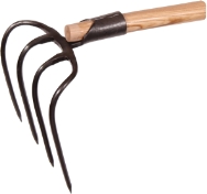 Galax Gødningshakke, 4-grenet