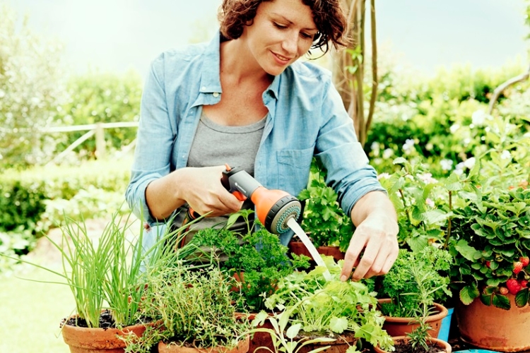 Multisprøjtepistol, Gardena Classic